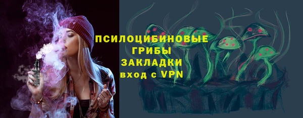 тгк Михайлов