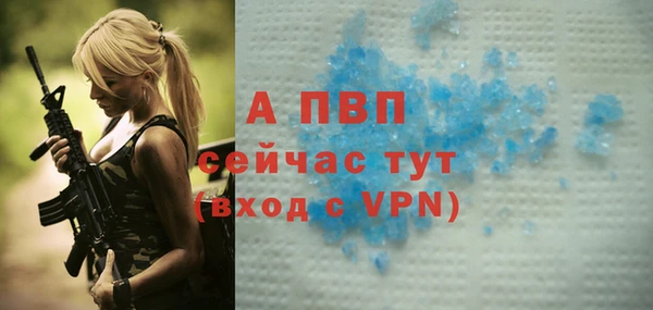 бошки Тайга