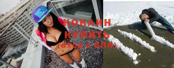 тгк Михайлов