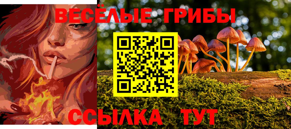Троицк  Псилоцибиновые грибы MAGIC MUSHROOMS  Вход с VPN 