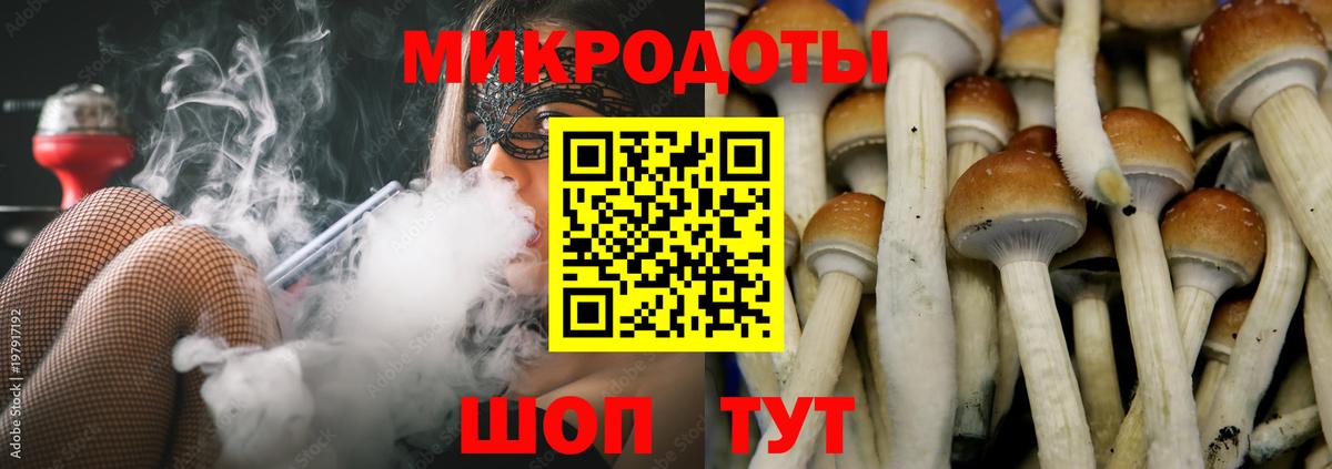Галлюциногенные грибы Psilocybe Троицк